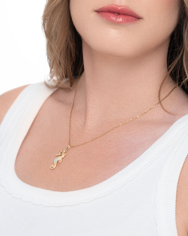 Encanto de los mares