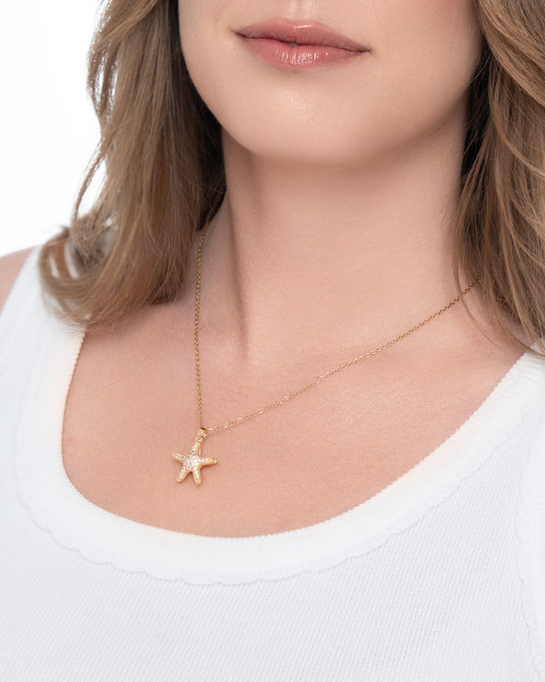 Estrella de los mares