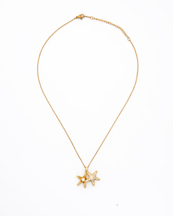 Estrella de los mares