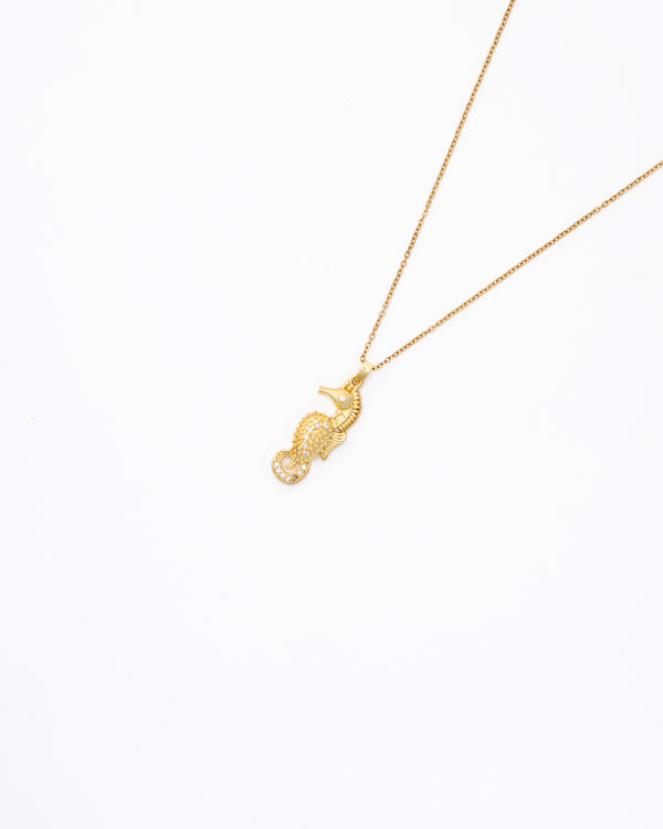 Hada caballito de mar