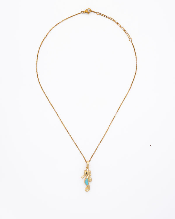 Encanto de los mares