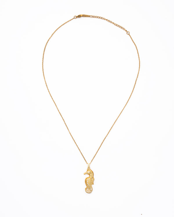 Hada caballito de mar